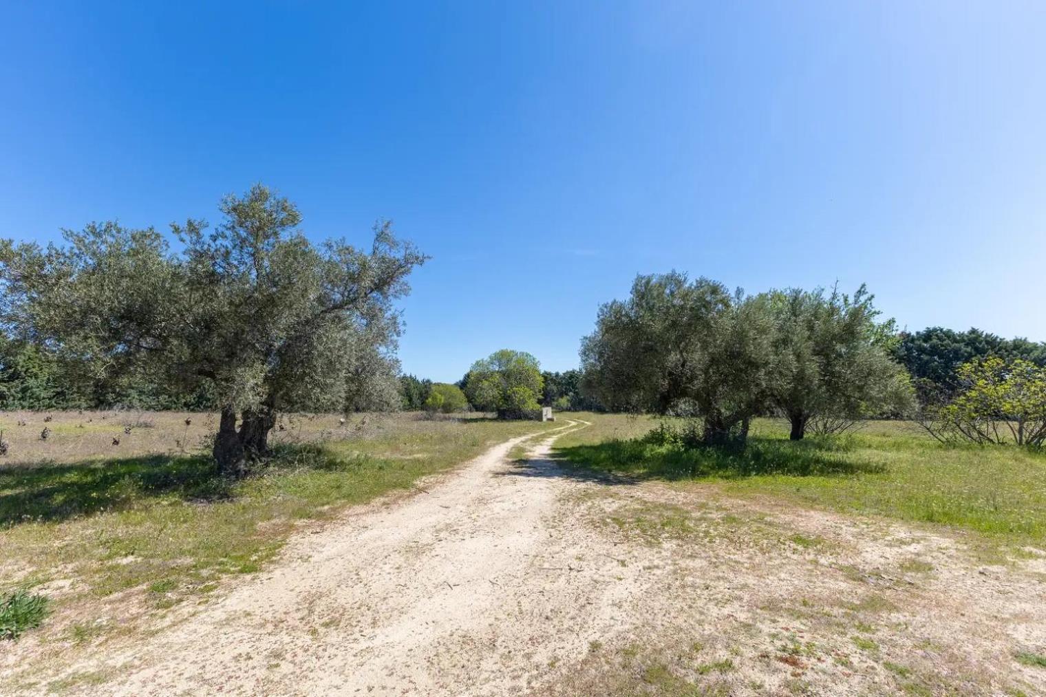 Finca El Palomar De La Vina - Madrid — Photos 1